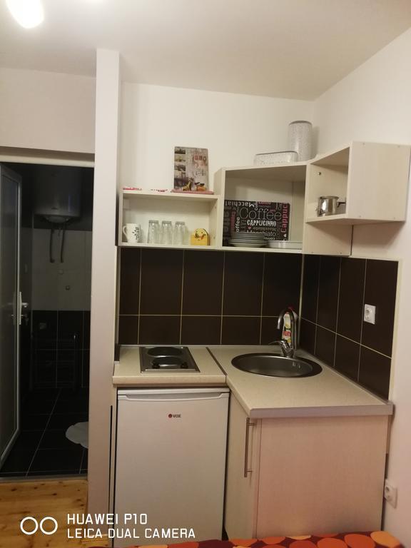 Studio Lenka Sokobanja Buitenkant foto